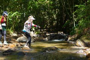 BIB: 
                            <button type="button" onclick="openModal(21853569)" class="btn btn-primary btn-sm float-right btn-popup" data-toggle="modal" data-target=".modal-high-quality">
                        <i class="fas fa-shopping-cart"></i> Add to Cart
                    </button>
                                            <button type="button" onclick="isThisMe(21853569, true)" class="btn btn-success btn-sm float-right btn-popup btn-isme hidden" data-toggle="tooltip" data-placement="bottom" title="นี่คือรูปของคุณใช่ไหม คลิกที่นี่เพื่อเอาเข้าอัลบั้ม">
                        <i class="fas fa-plus"></i> Add to album
                    </button>
                    <button type="button" onclick="isThisMe(21853569, false)" class="btn btn-warning btn-sm float-right btn-popup btn-isnotme hidden">
                        <i class="fas fa-ban"></i> Remove from album
                    </button>